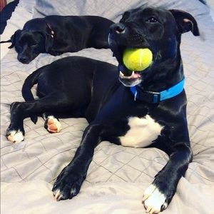 Meet your Posher, Kara